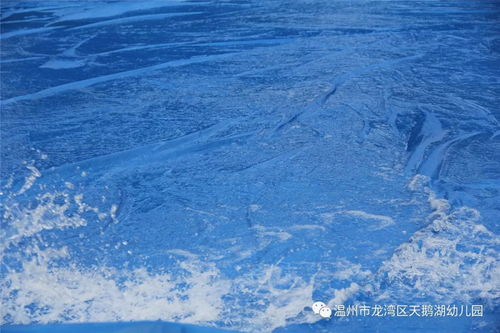 泡沫狂欢燃爆全场，嘉年华完美落幕